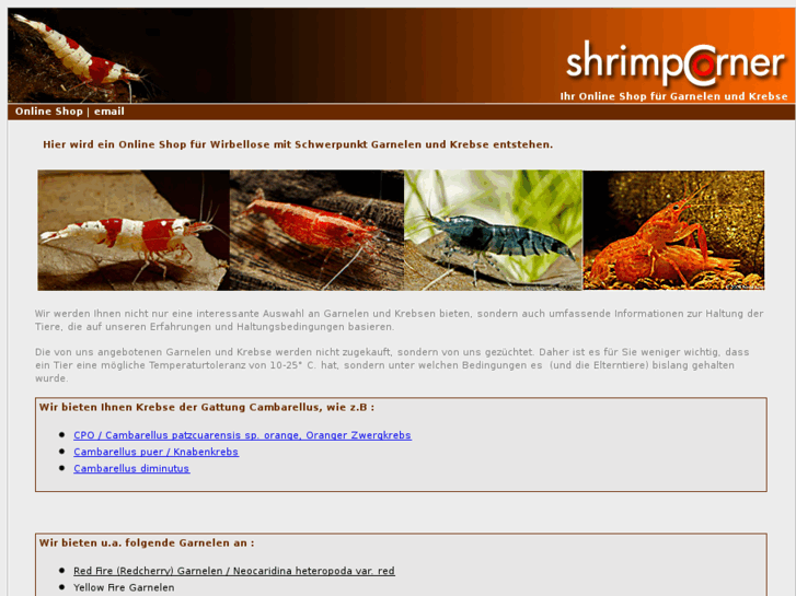 www.shrimpcorner.de