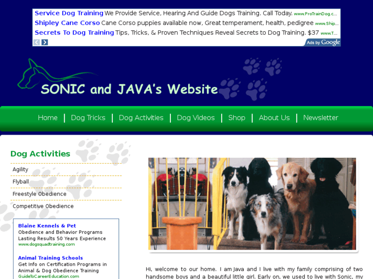 www.sonicandjava.com