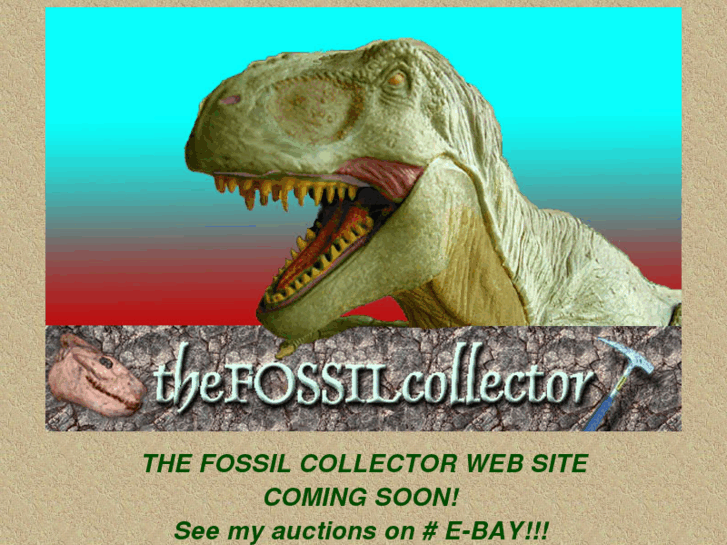 www.thefossilcollector.com