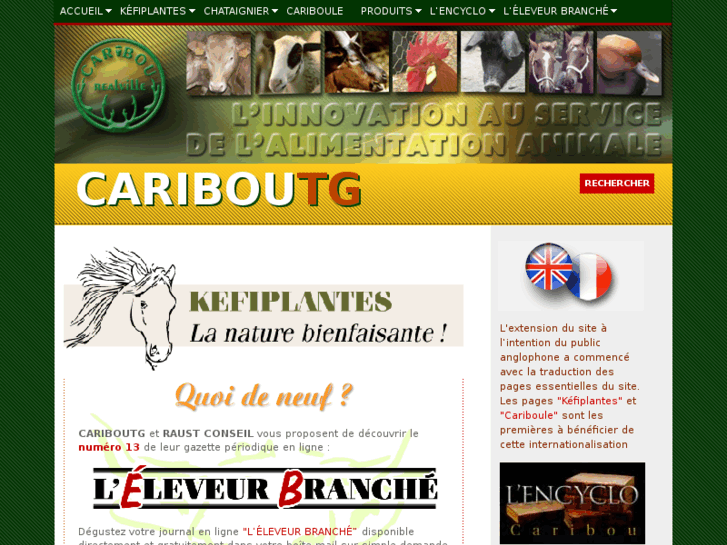 www.cariboutg.eu