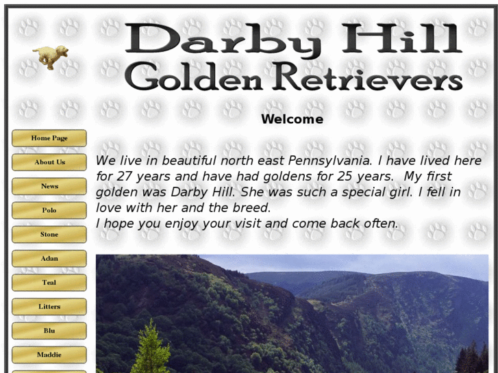 www.darbyhillgoldens.com