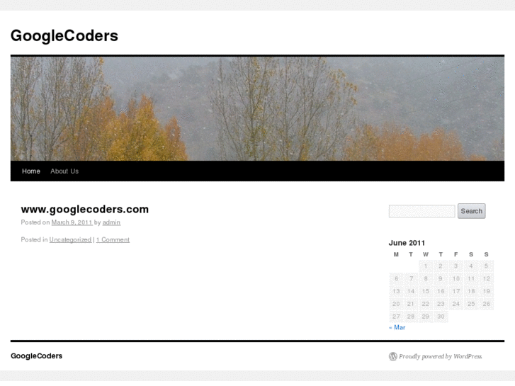 www.googlecoders.com