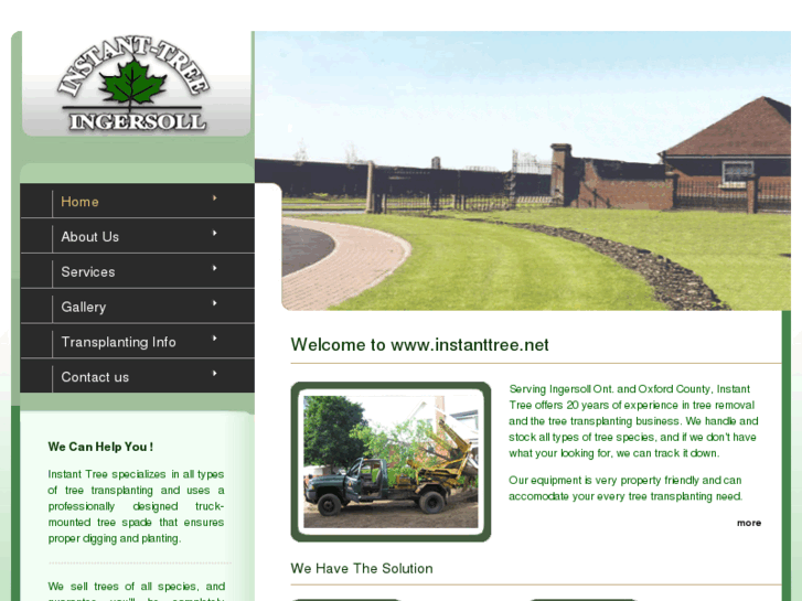 www.instanttree.net