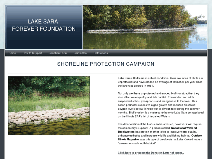 www.lakesaraforever.org