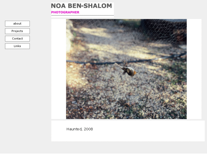 www.noabenshalom.com