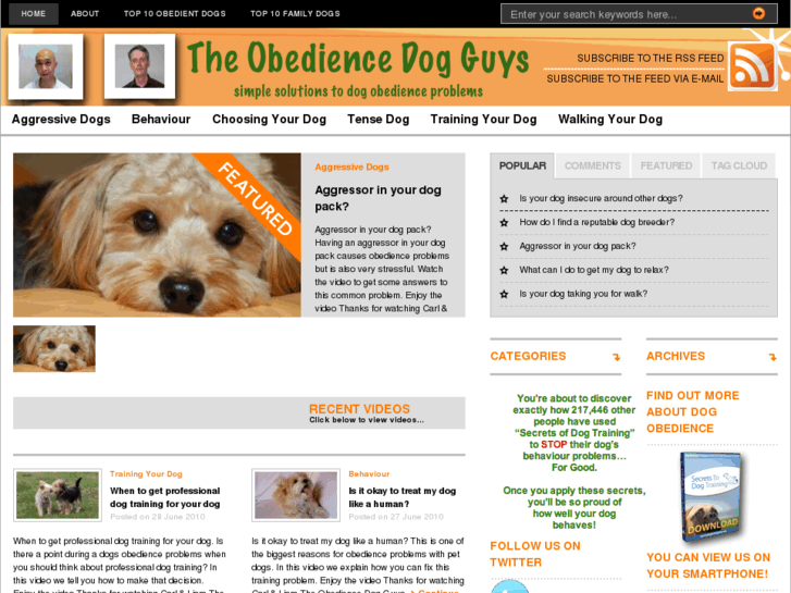 www.obediencedognow.com