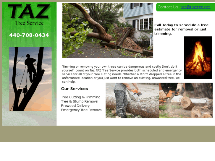www.taztree.net