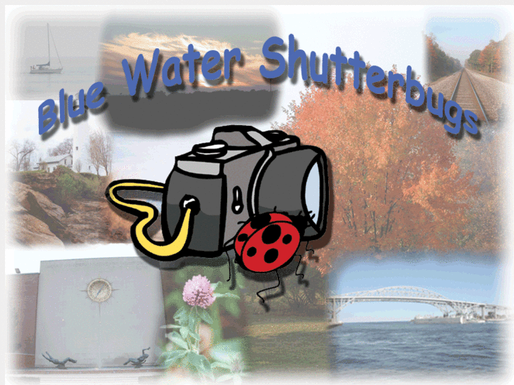 www.bwshutterbugs.org
