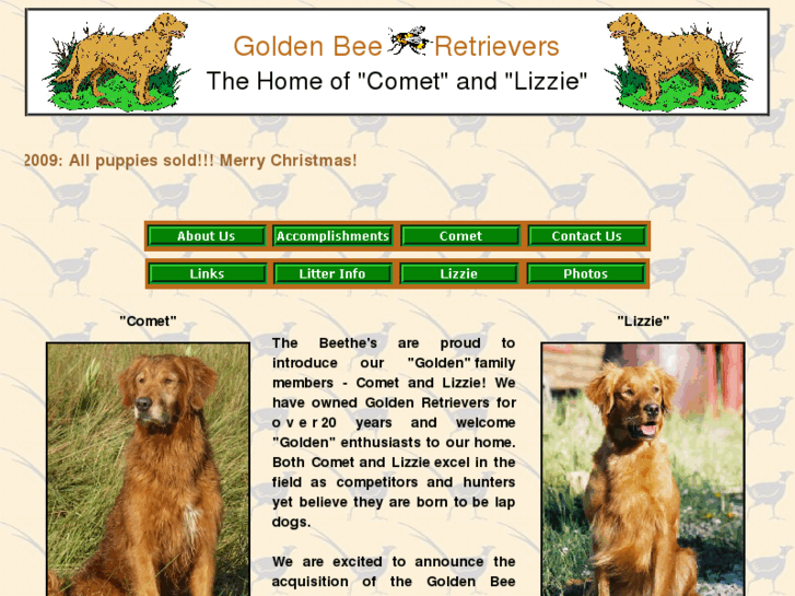 www.goldenbee-retrievers.com