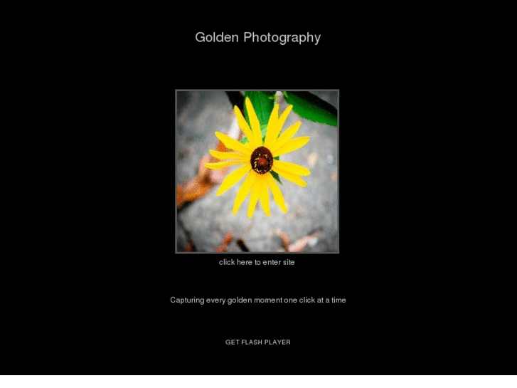 www.goldenphotography.com