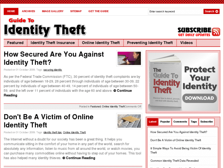 www.guidetoidentitytheft.com