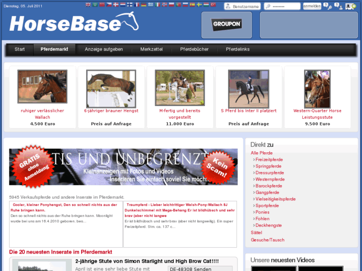 www.horsebase.com