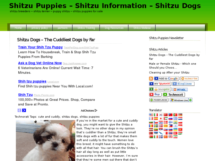 www.shitzu-puppies.com