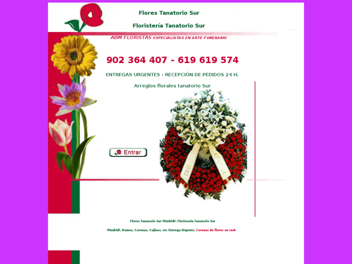 www.florestanatoriosur.com.es