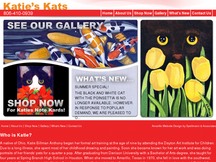 www.katieskats.com