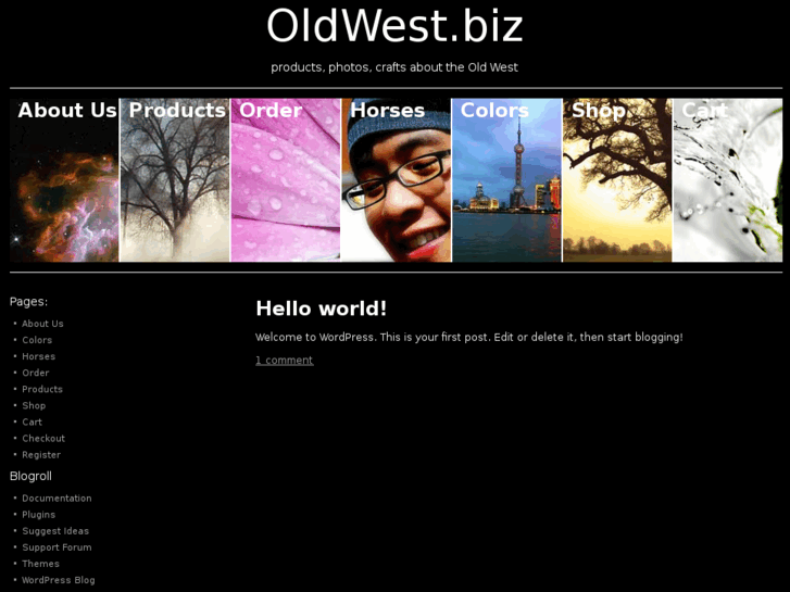 www.oldwest.biz