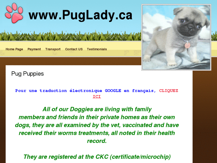 www.puglady.ca