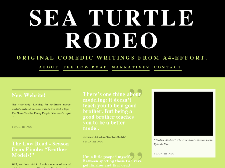 www.seaturtlerodeo.com