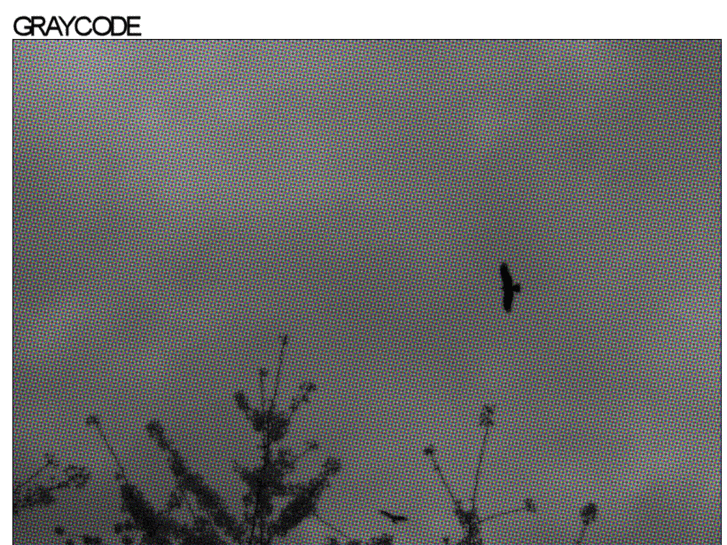 www.thegraycode.com