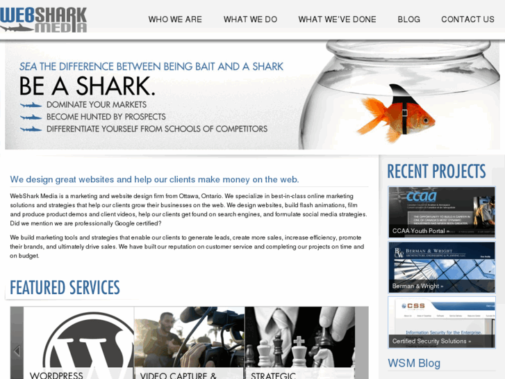 www.websharkmedia.com