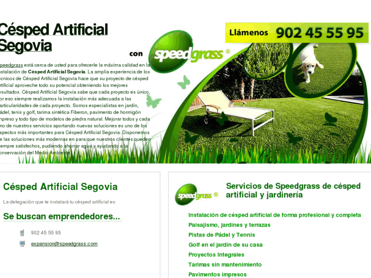 www.cespedartificialsegovia.com