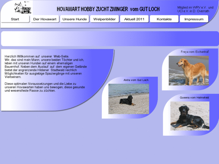 www.hovawartzucht.com