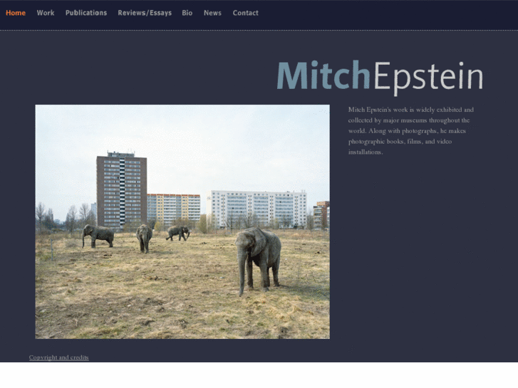 www.mitchepstein.net