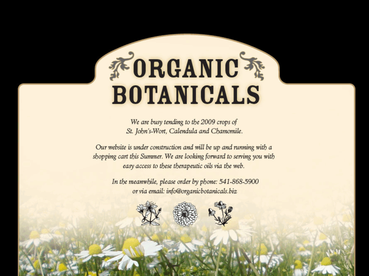 www.organicbotanicals.biz