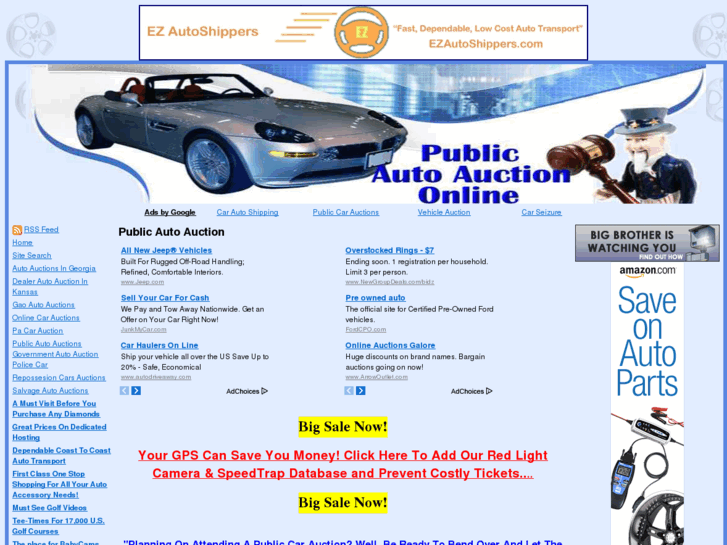 www.publicautoauctiononline.com