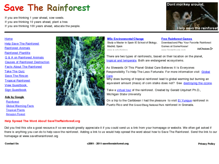 www.saverainforests.org