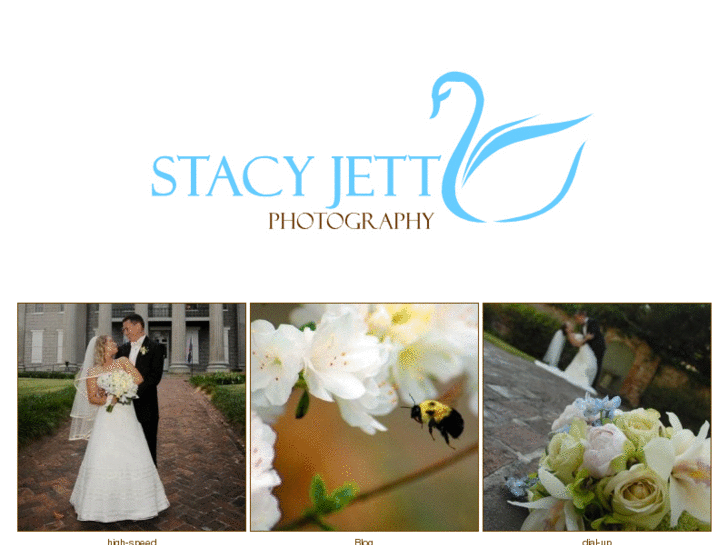 www.stacyjettbarnes.com