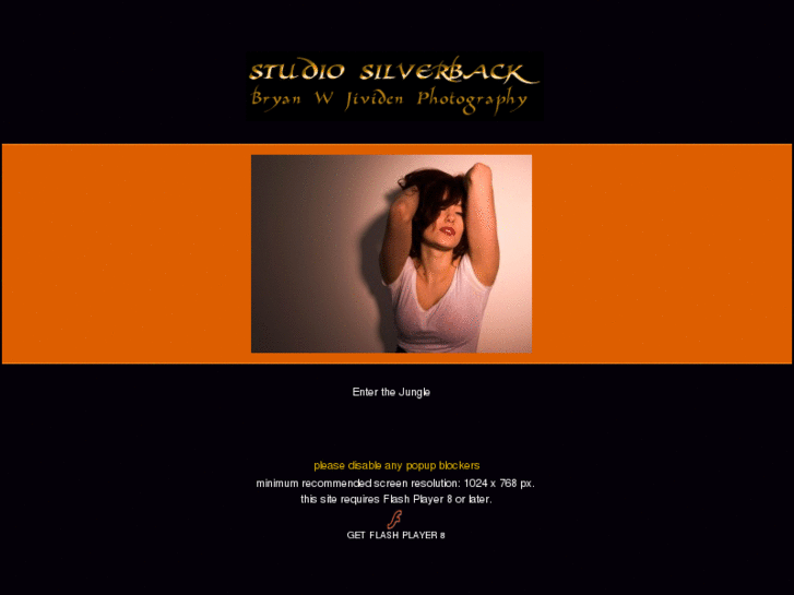 www.studiosilverback.com