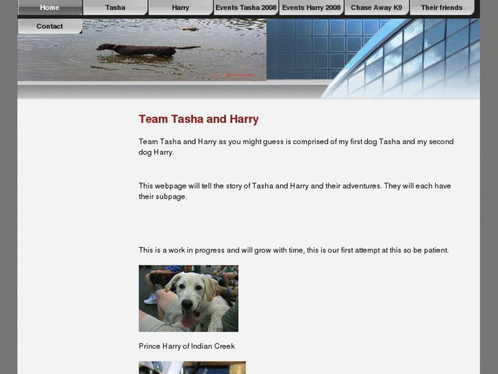 www.teamtashaandharry.com