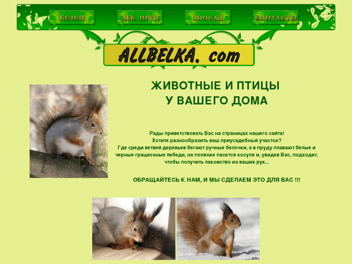 www.allbelka.com