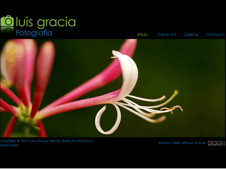 www.luisgracia.es