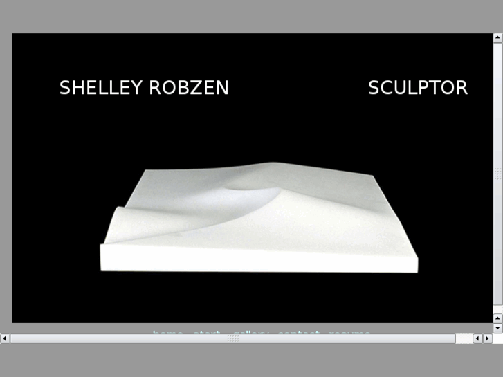 www.shelleyrobzen.com