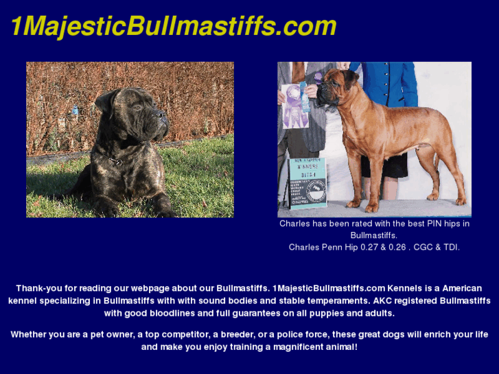 www.1majesticbullmastiffs.com