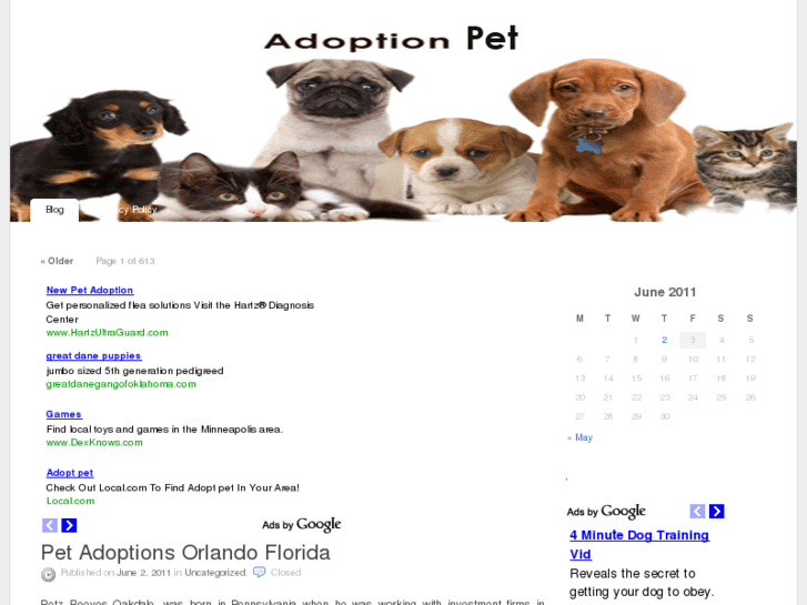 www.adoptpet.info