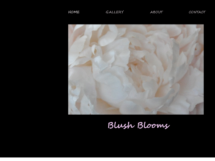 www.blushblooms.com