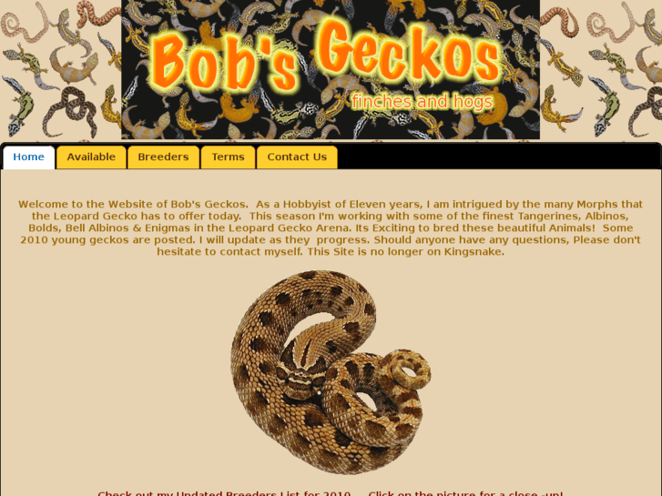 www.bobsgeckos.com