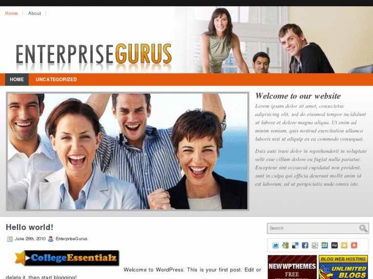 www.enterprisegurus.com