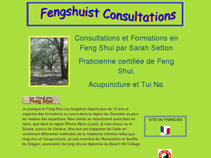 www.fengshuist.com