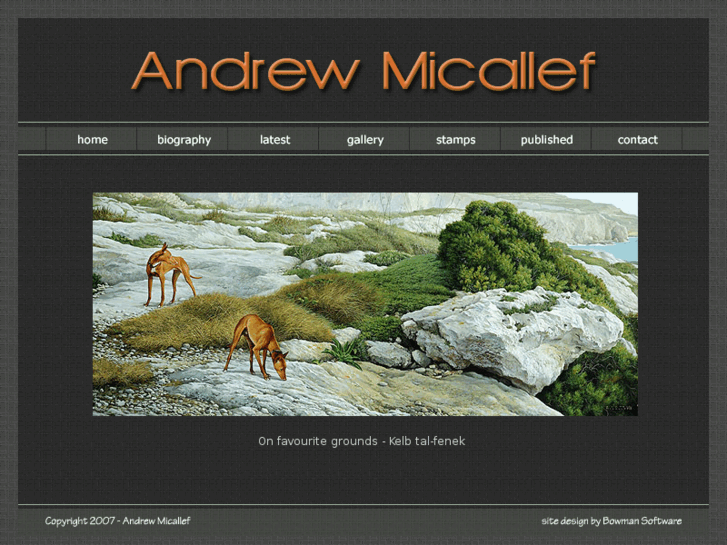 www.micallefandrew.com