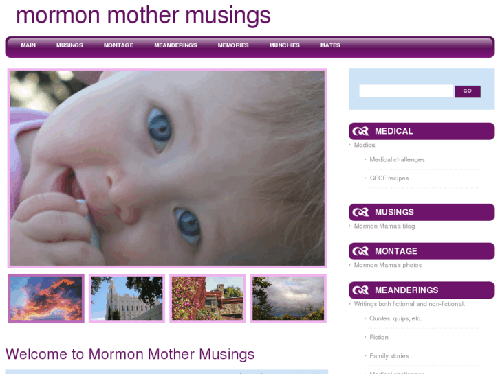 www.mormonmothermusings.com