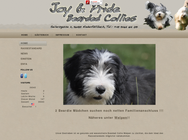 www.bearded-collie-welpen.net