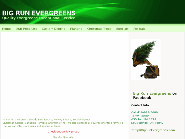 www.bigrunevergreens.com