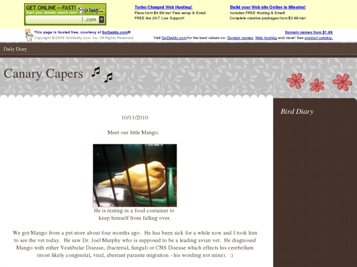 www.canarycapers.com