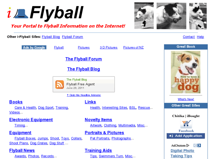 www.i-flyball.com