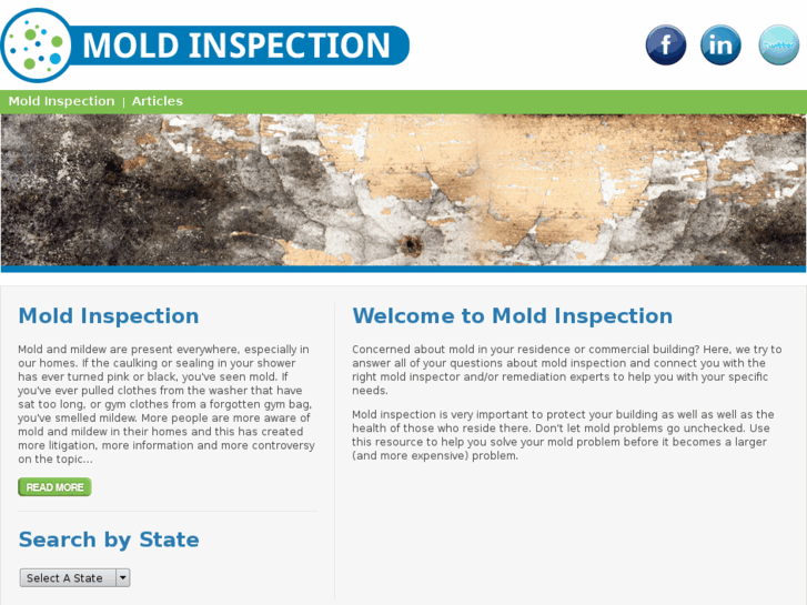 www.moldinspection.com