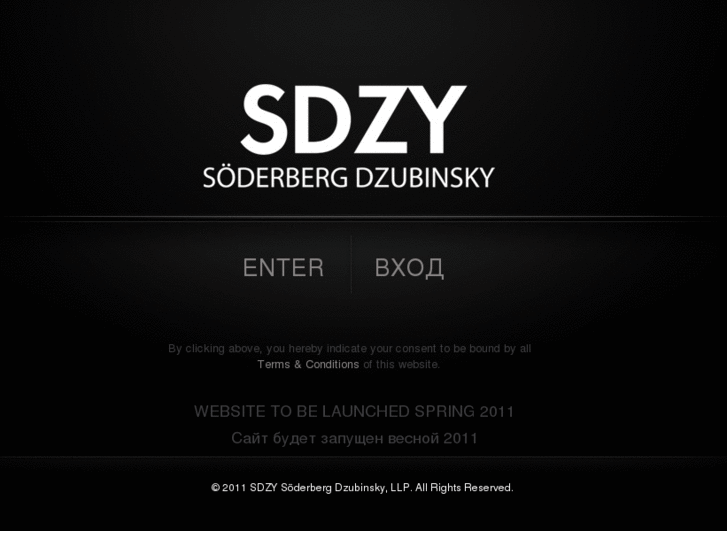 www.sdzycontemporary.com